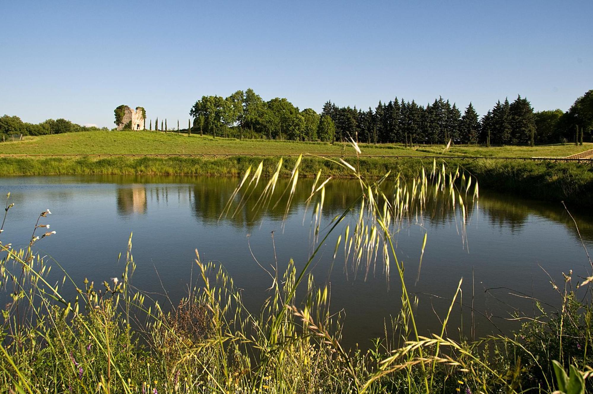 Tenuta Del Gallo Amelia Exteriör bild