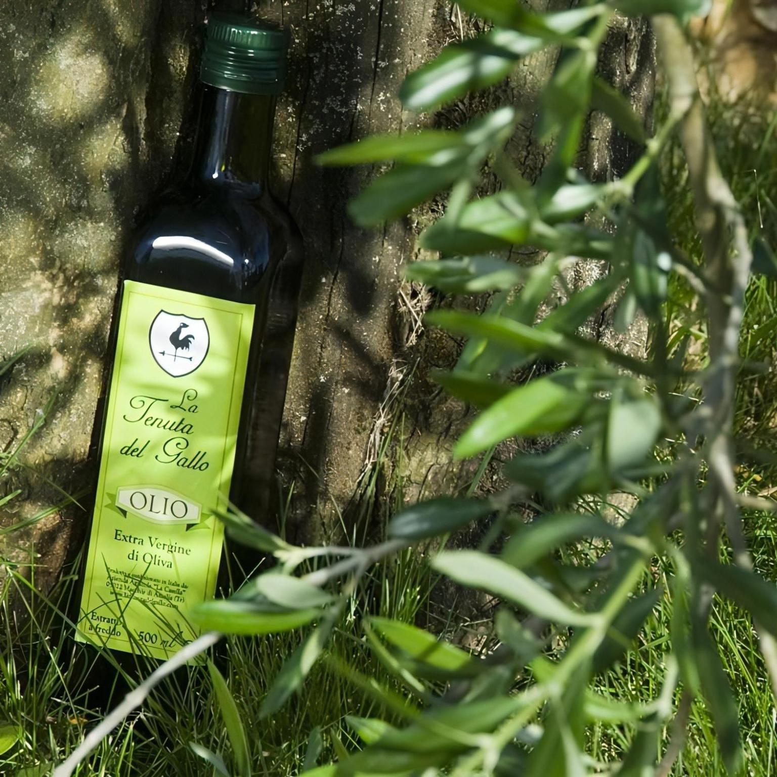 Tenuta Del Gallo Amelia Exteriör bild