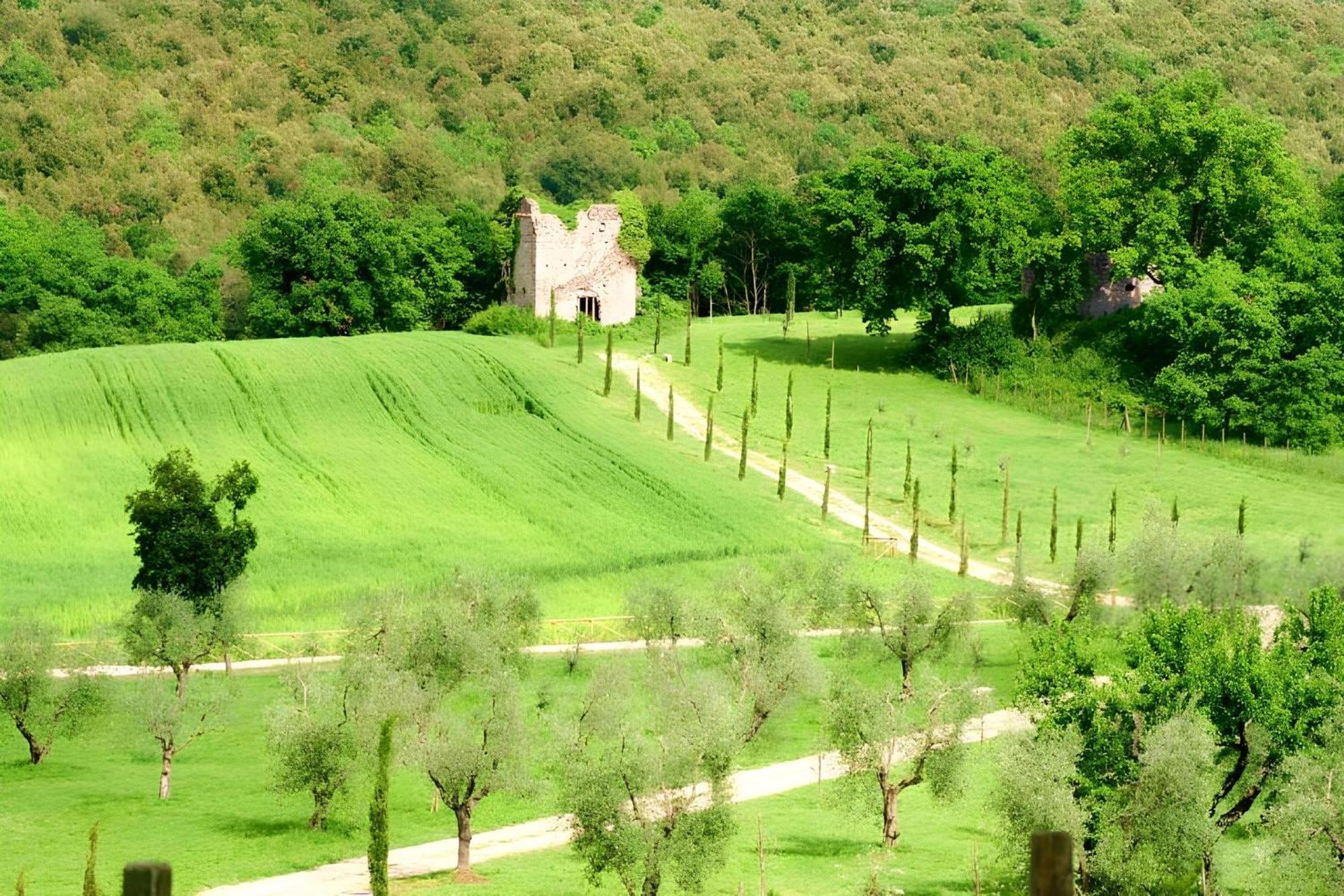 Tenuta Del Gallo Amelia Exteriör bild